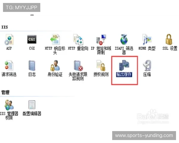 云顶国际官网登录入口网址攻略，详细介绍登录流程和优化登录体验的方法