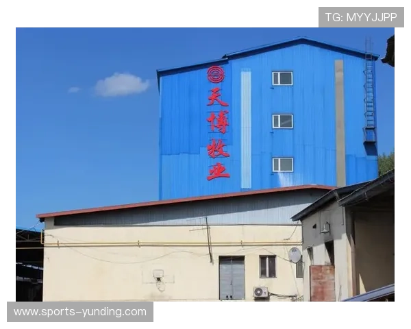 云顶集团中国分公司在中国市场的主要业务范围与核心竞争优势