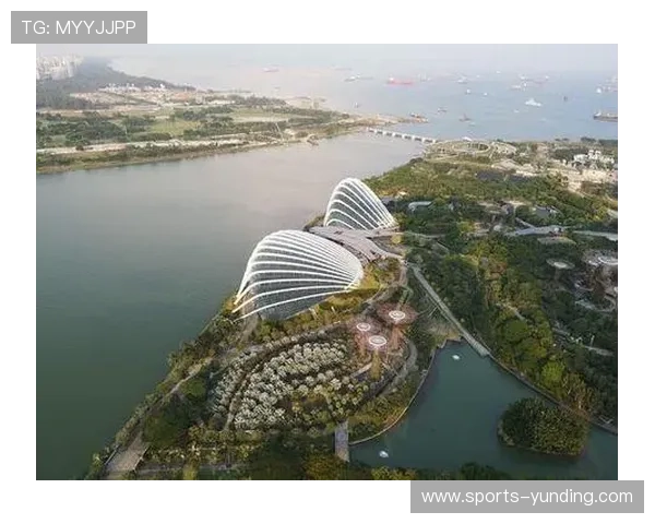 澳门云顶国际平台用户评价与口碑分析真实玩家体验分享参考价值高