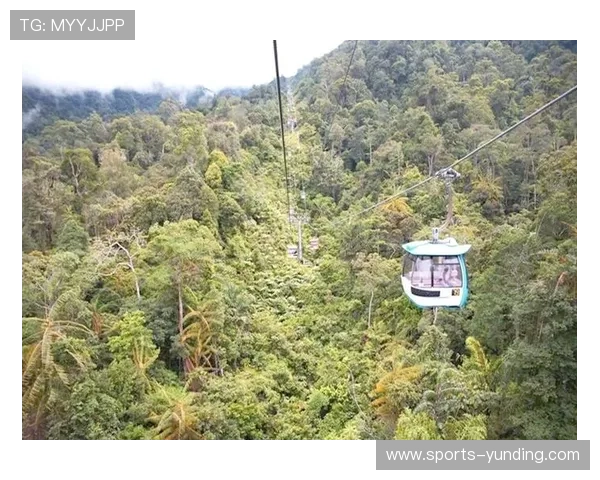 马来西亚云顶云星剧场演出预订流程详解，确保您的座位顺利预订体验
