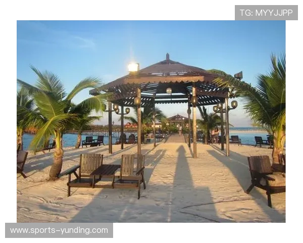 马来西亚吉隆坡云顶集团的投资策略与多元化发展路径探讨